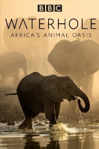 BBC Водопой Африканский Оазис для Животных