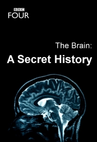 Мозг Тайны сознания